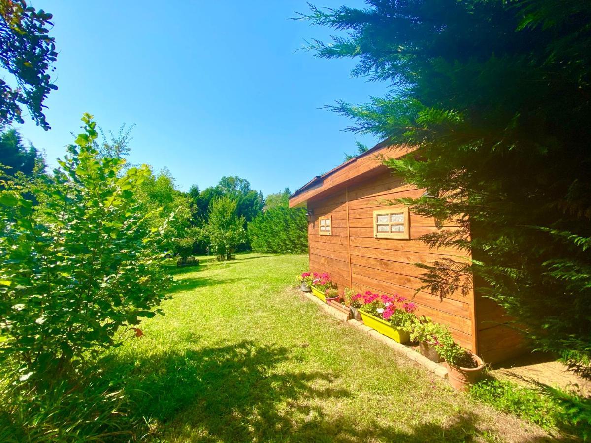 O Clair De Lune Au Coeur De Sarlat - Chambres Climatisees - Parking Prive - Piscine Chauffee - Spa Et Massages Ngoại thất bức ảnh