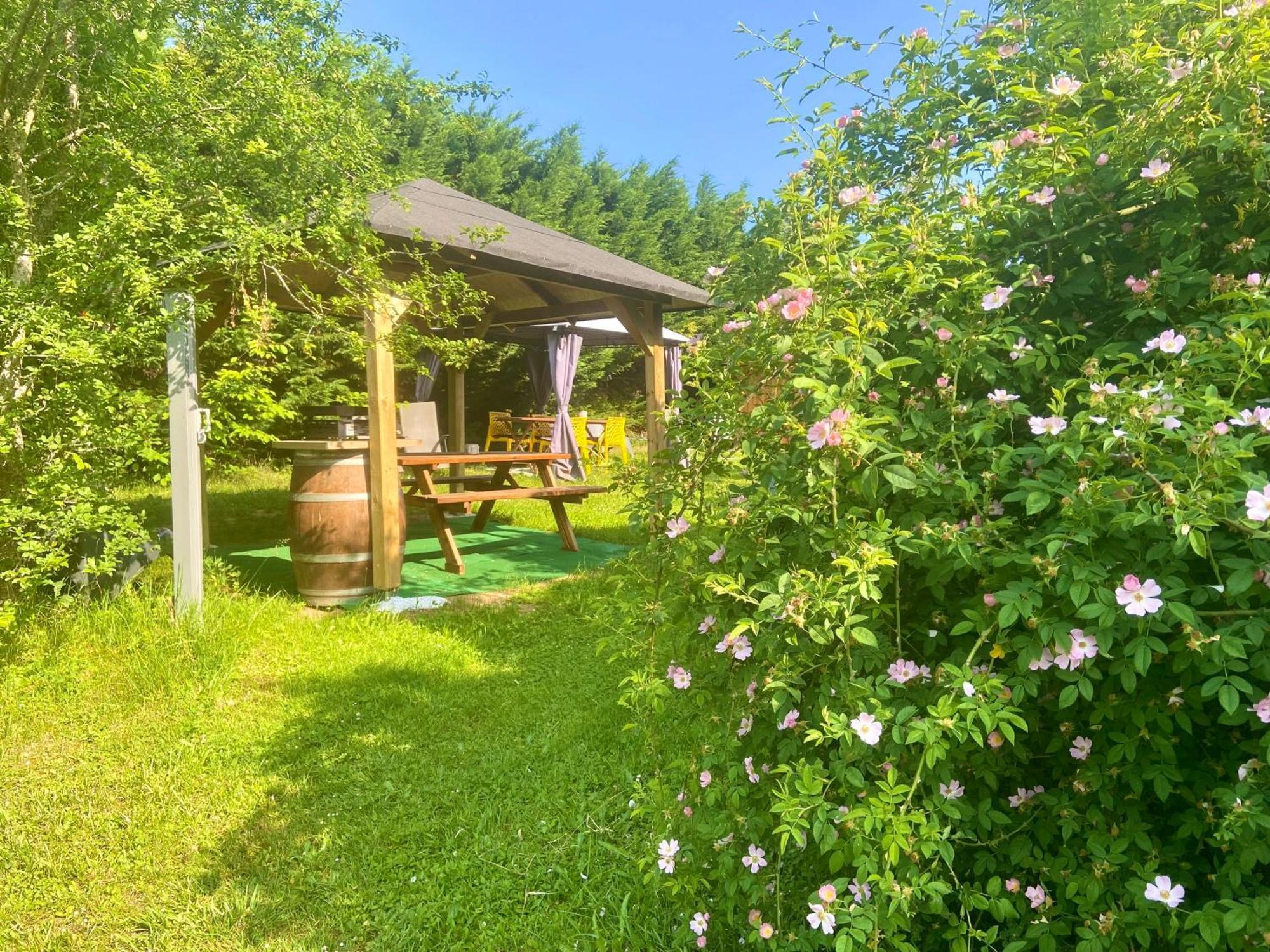 O Clair De Lune Au Coeur De Sarlat - Chambres Climatisees - Parking Prive - Piscine Chauffee - Spa Et Massages Ngoại thất bức ảnh